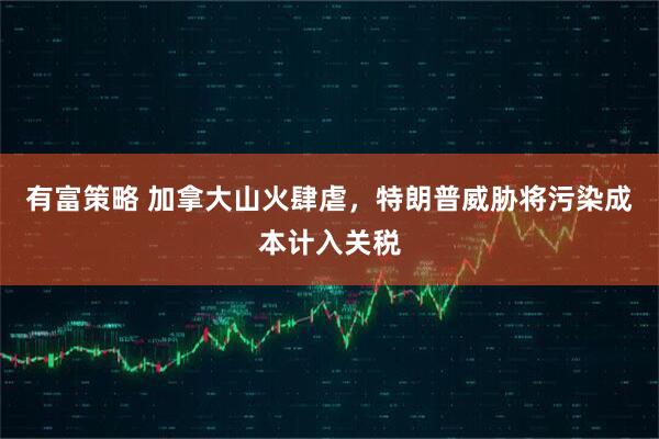 有富策略 加拿大山火肆虐，特朗普威胁将污染成本计入关税